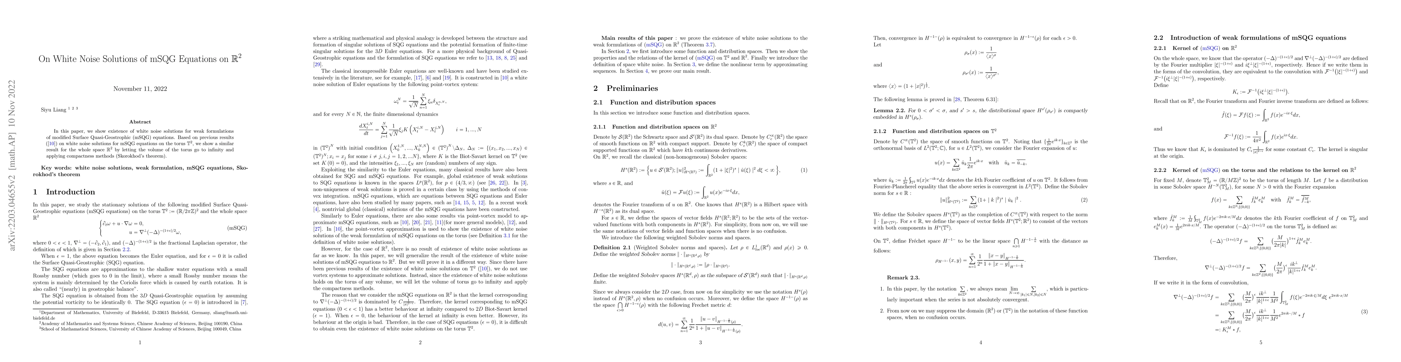 Thumbnail for On White Noise Solutions of mSQG Equations on $\mathbb{R}^{2}$