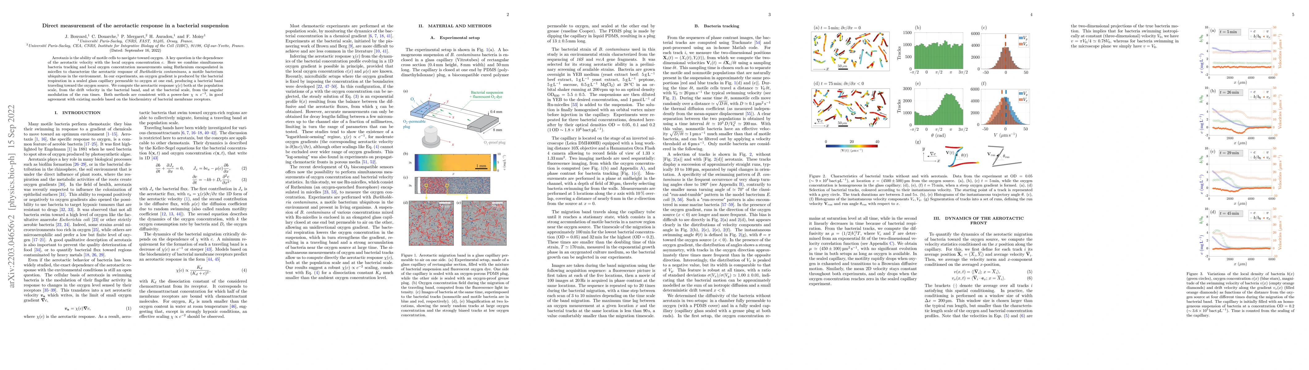 Thumbnail for Direct measurement of the aerotactic response in a bacterial suspension