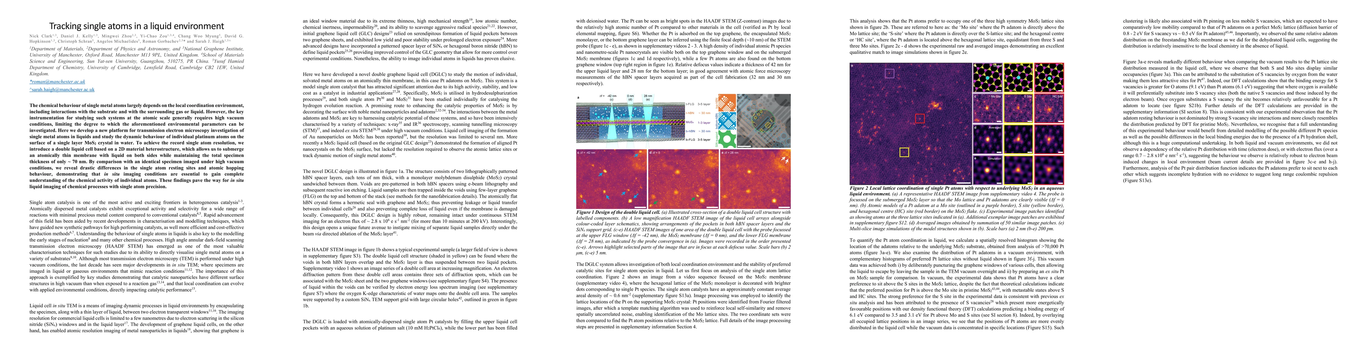 Thumbnail for Tracking single atoms in a liquid environment