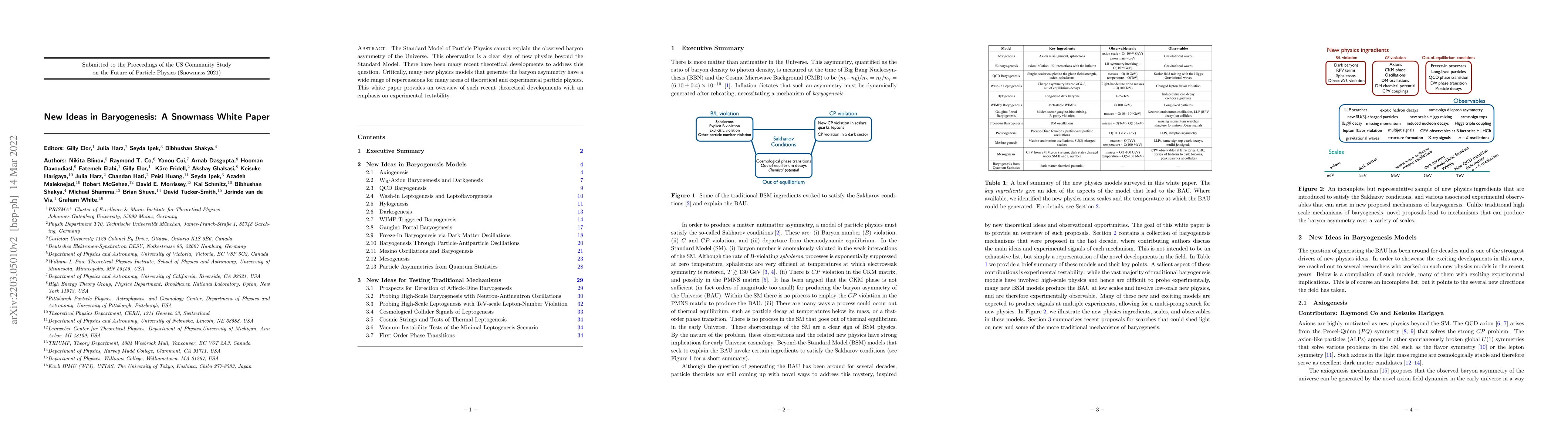 Thumbnail for New Ideas in Baryogenesis: A Snowmass White Paper