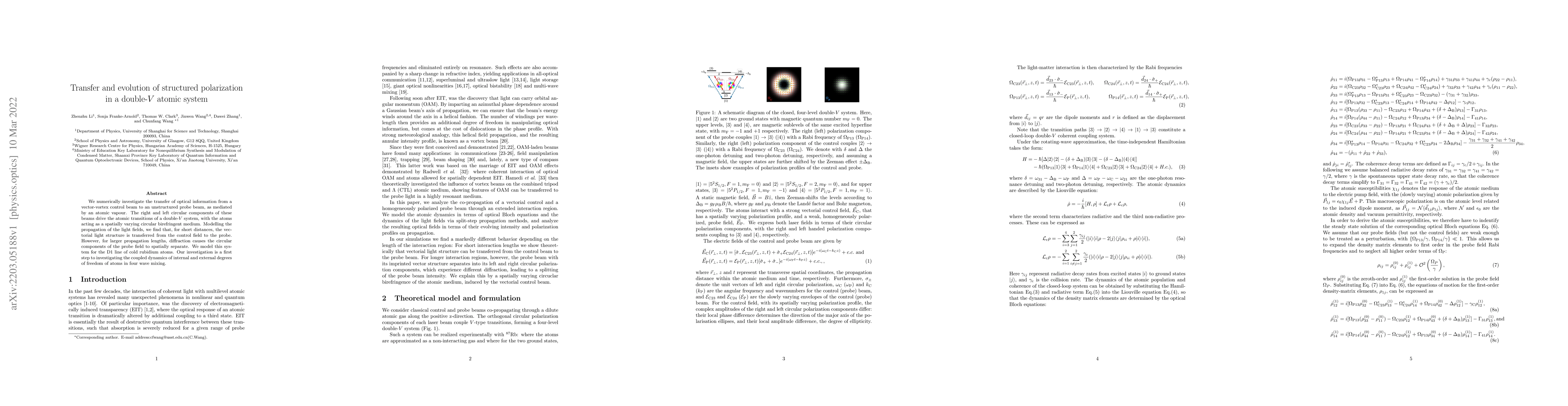 Thumbnail for Transfer and evolution of structured polarization in a double-V atomic
  system