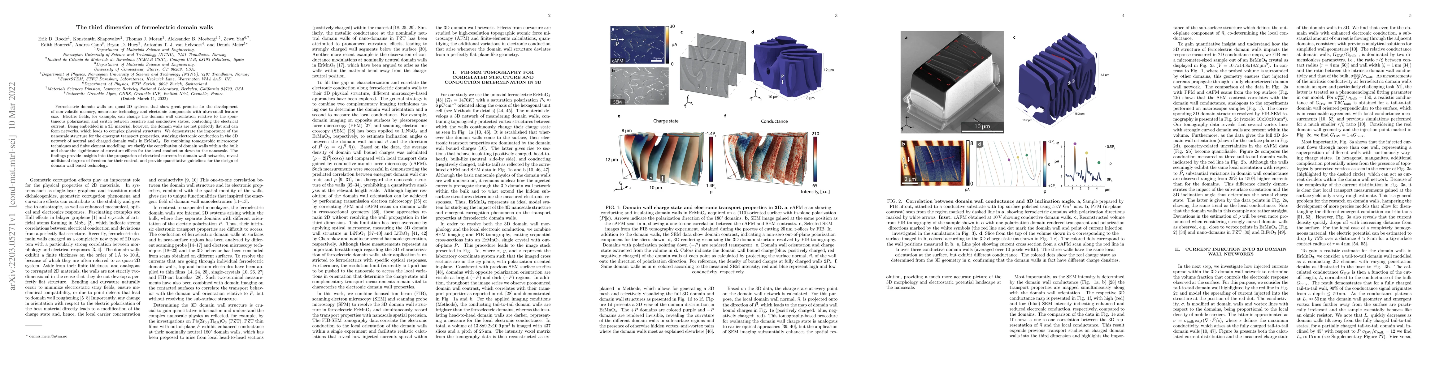 Thumbnail for The third dimension of ferroelectric domain walls