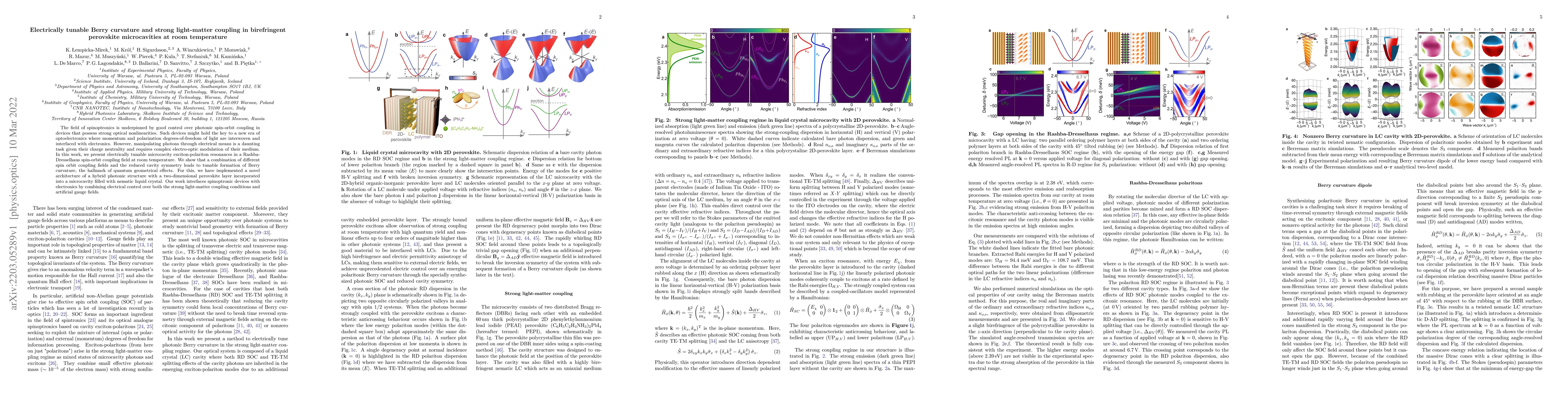 Thumbnail for Electrically tunable Berry curvature and strong light-matter coupling in
  birefringent perovskite microcavities at room temperature