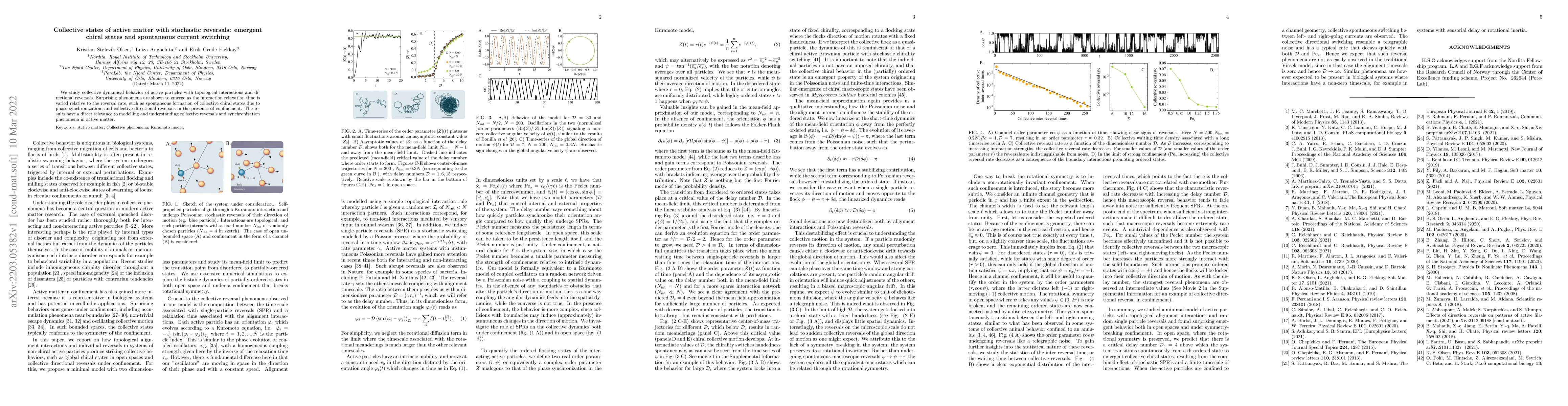 Thumbnail for Collective states of active matter with stochastic reversals: emergent
  chiral states and spontaneous current switching