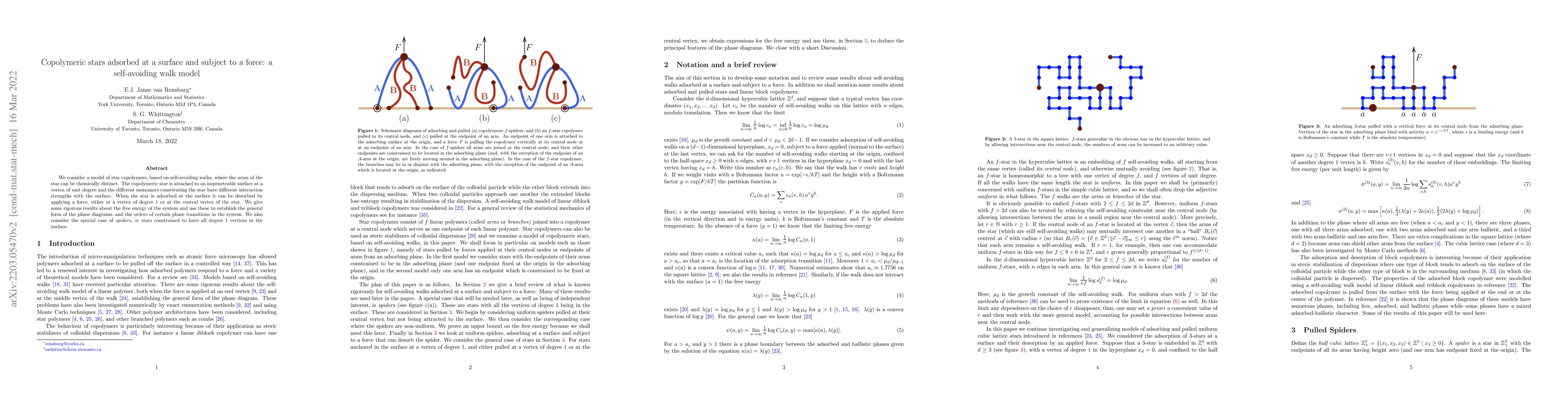 Thumbnail for Copolymeric stars adsorbed at a surface and subject to a force: a
  self-avoiding walk model