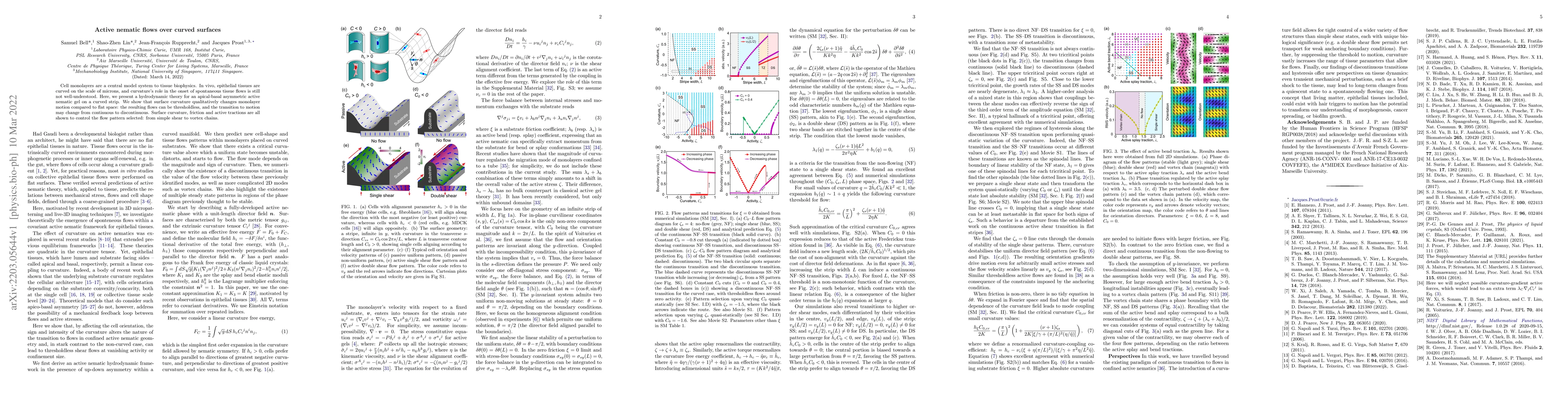 Thumbnail for Active nematic flows on curved surfaces