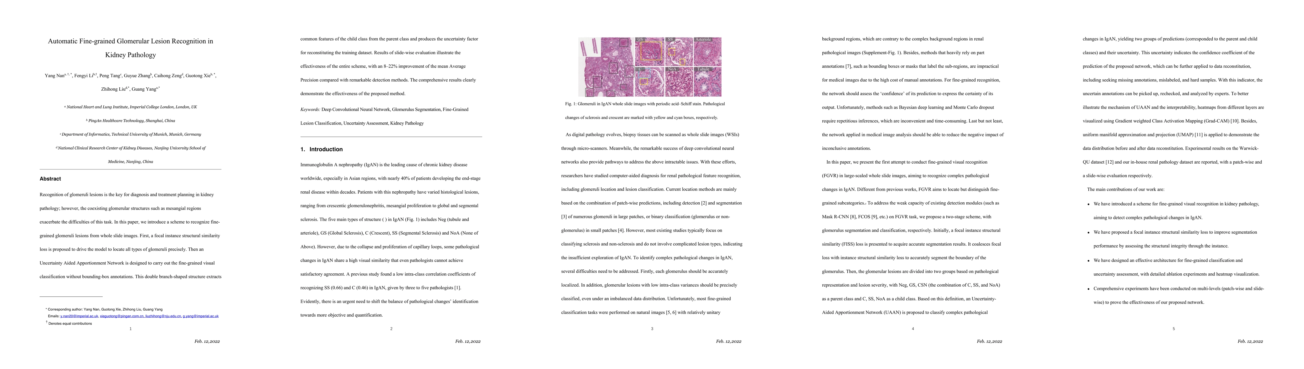 Thumbnail for Automatic Fine-grained Glomerular Lesion Recognition in Kidney Pathology