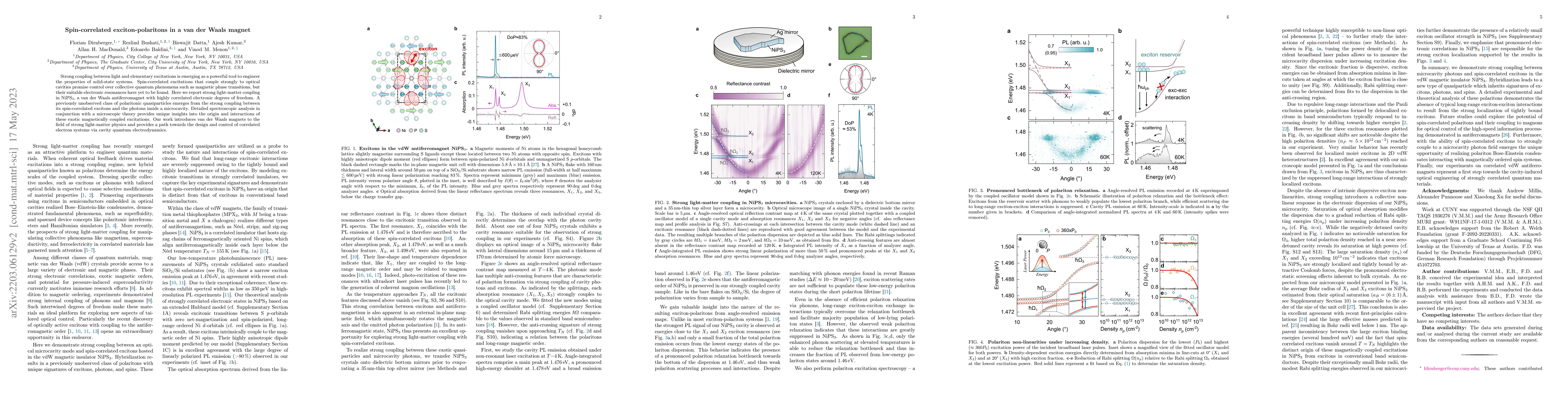 Thumbnail for Spin-correlated exciton-polaritons in a van der Waals magnet