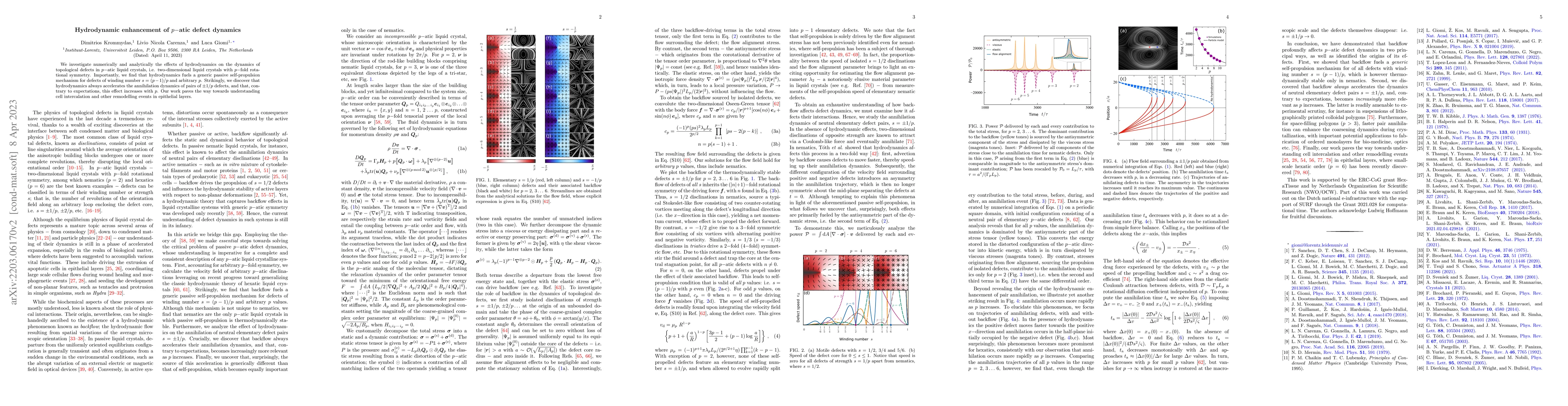 Thumbnail for Hydrodynamic Enhancement of $p$-atic Defect Dynamics