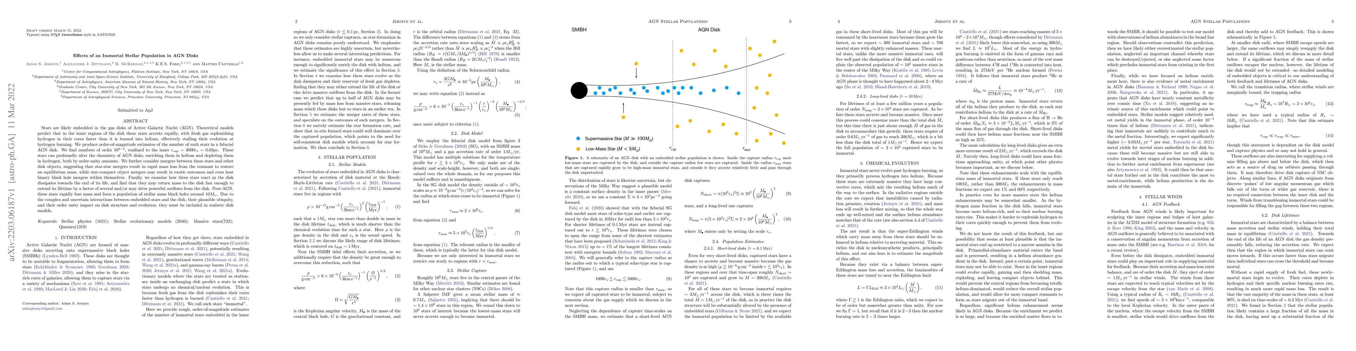Thumbnail for Effects of an Immortal Stellar Population in AGN Disks