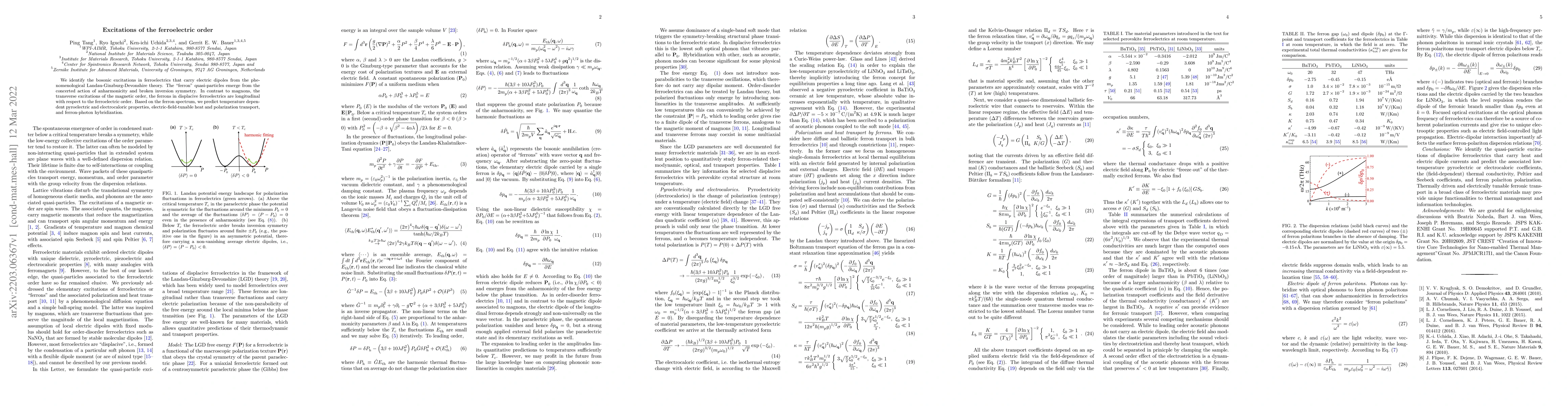 Thumbnail for Excitations of the ferroelectric order