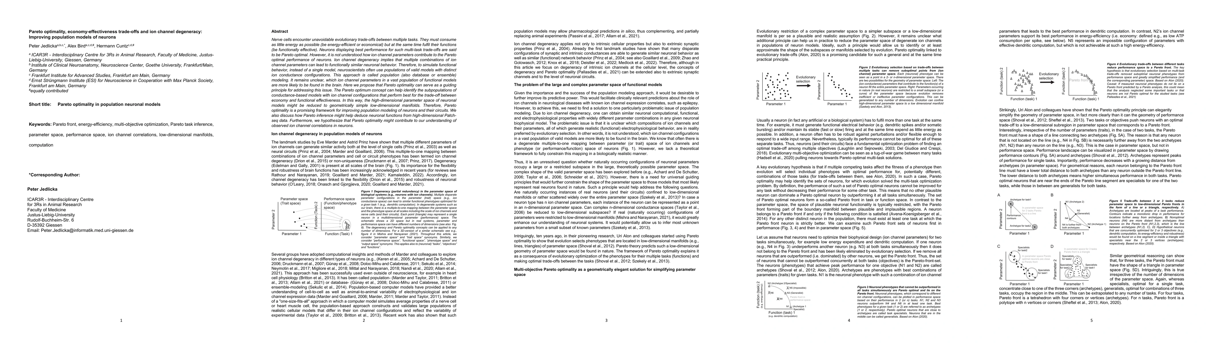 Thumbnail for Pareto optimality, economy-effectiveness trade-offs and ion channel
  degeneracy: Improving population models of neurons