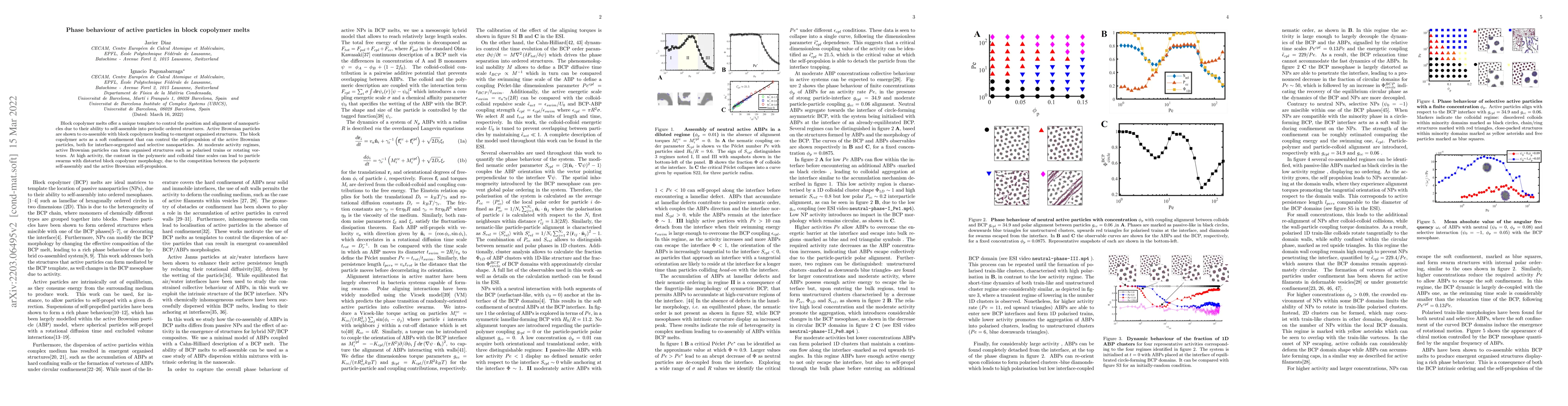 Thumbnail for Phase behaviour of active particles in block copolymer melts