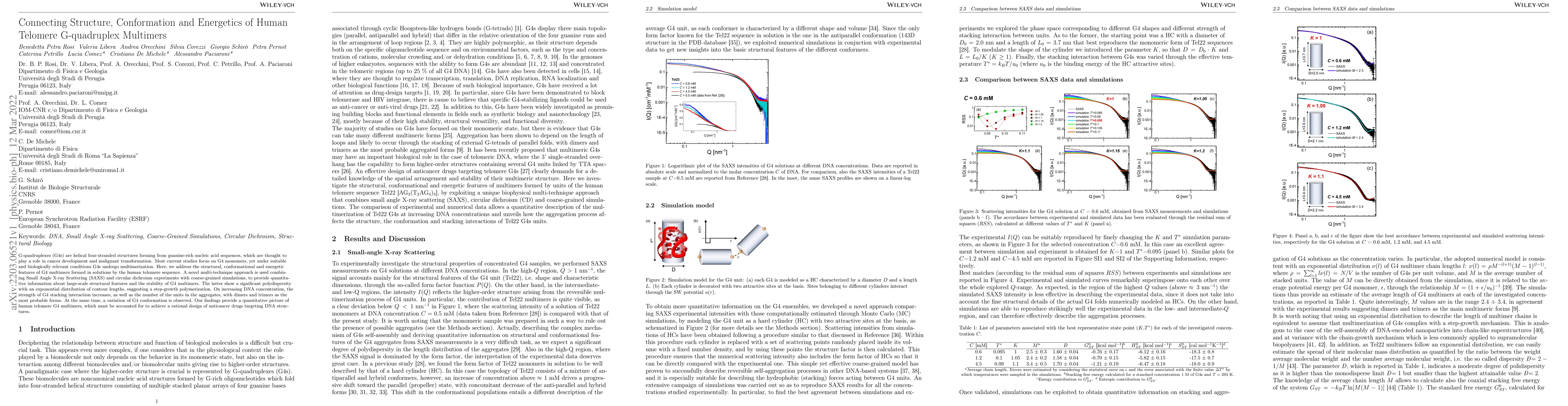 Thumbnail for Connecting Structure, Conformation and Energetics of Human Telomere
  G-quadruplex Multimers