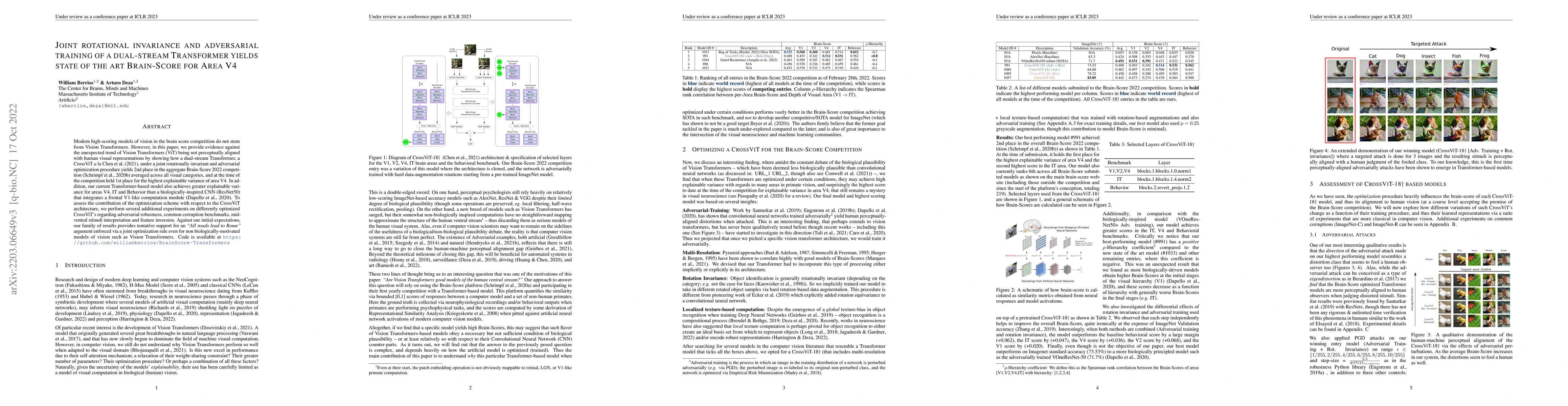 Thumbnail for Joint rotational invariance and adversarial training of a dual-stream
  Transformer yields state of the art Brain-Score for Area V4