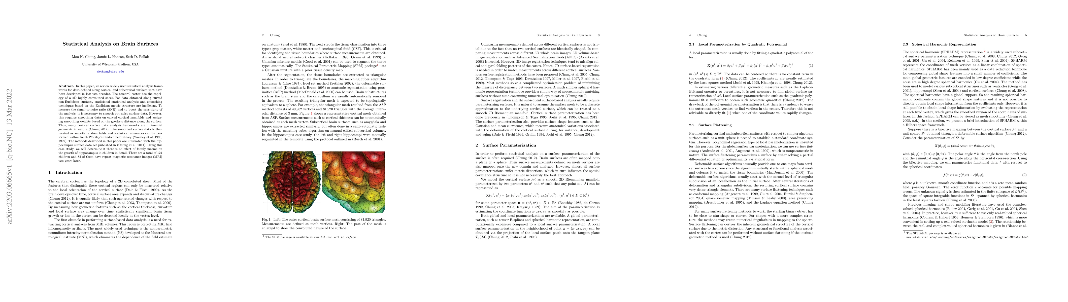 Thumbnail for Statistical Analysis on Brain Surfaces