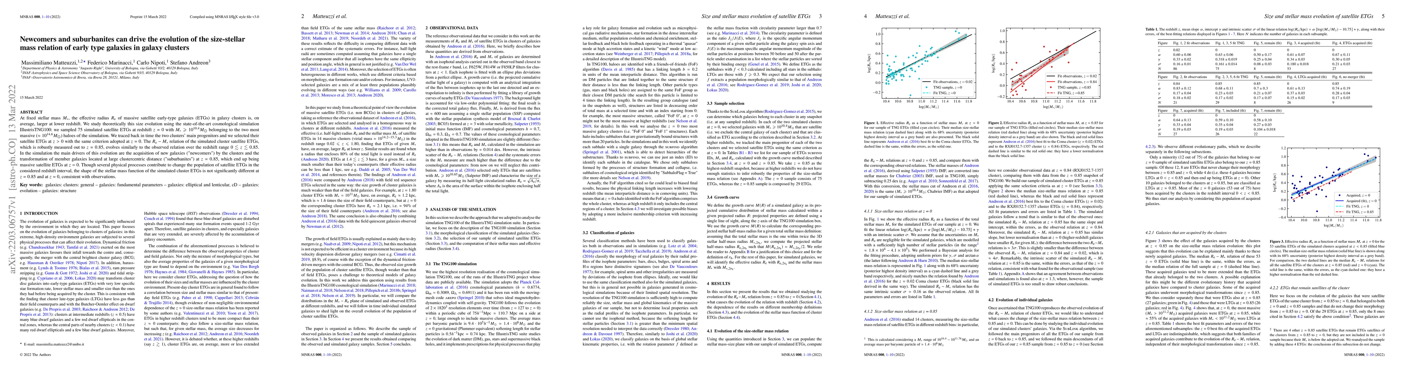 Thumbnail for Newcomers and suburbanites can drive the evolution of the size-stellar
  mass relation of early type galaxies in galaxy clusters