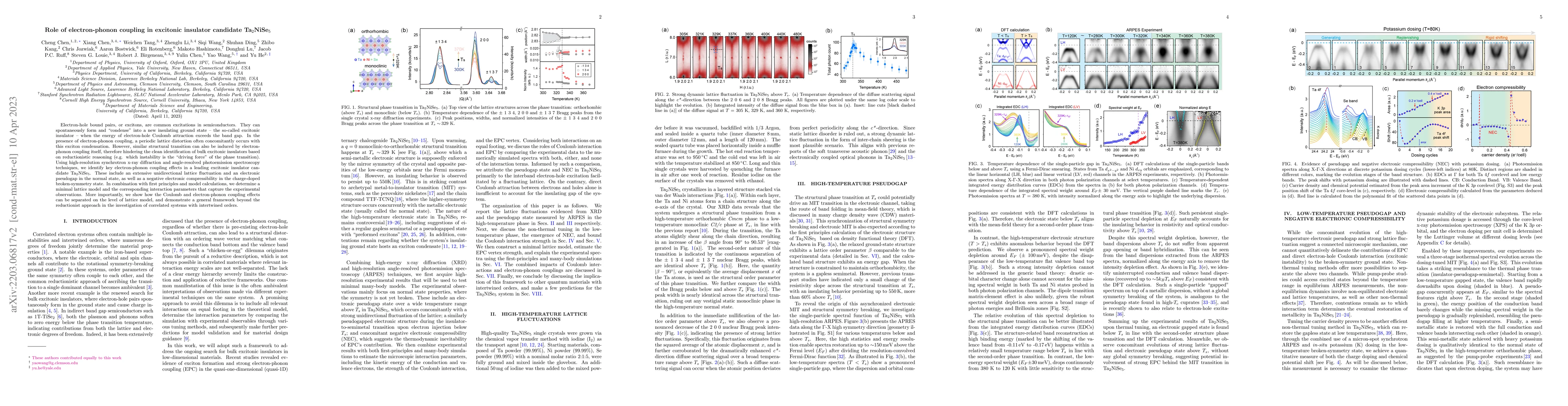 Thumbnail for Role of electron-phonon coupling in excitonic insulator candidate
  Ta2NiSe5