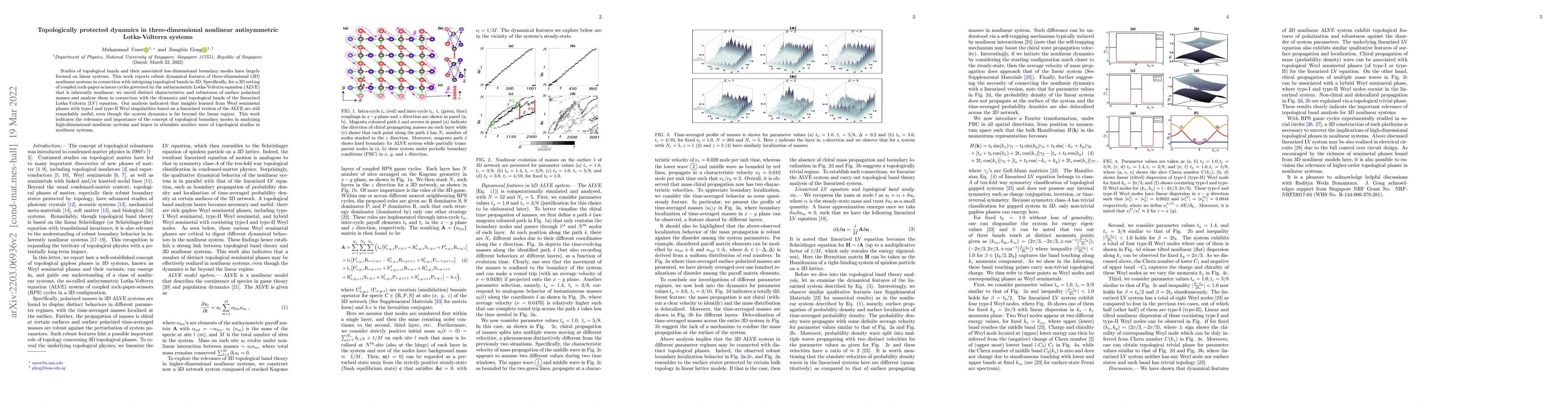 Thumbnail for Topologically protected dynamics in three-dimensional nonlinear
  antisymmetric Lotka-Volterra systems