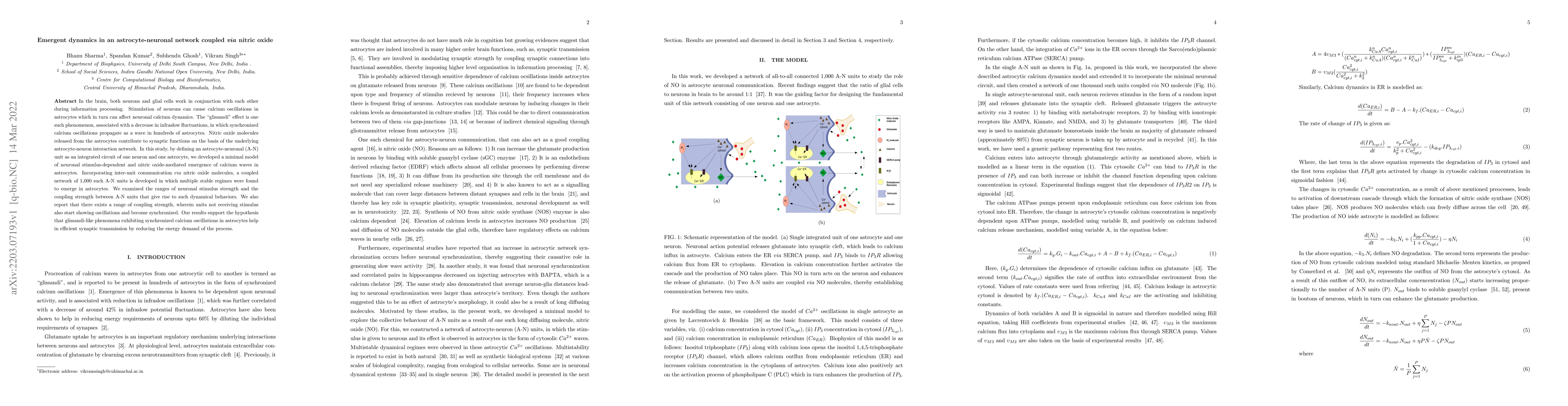 Thumbnail for Emergent dynamics in an astrocyte-neuronal network coupled via nitric
  oxide