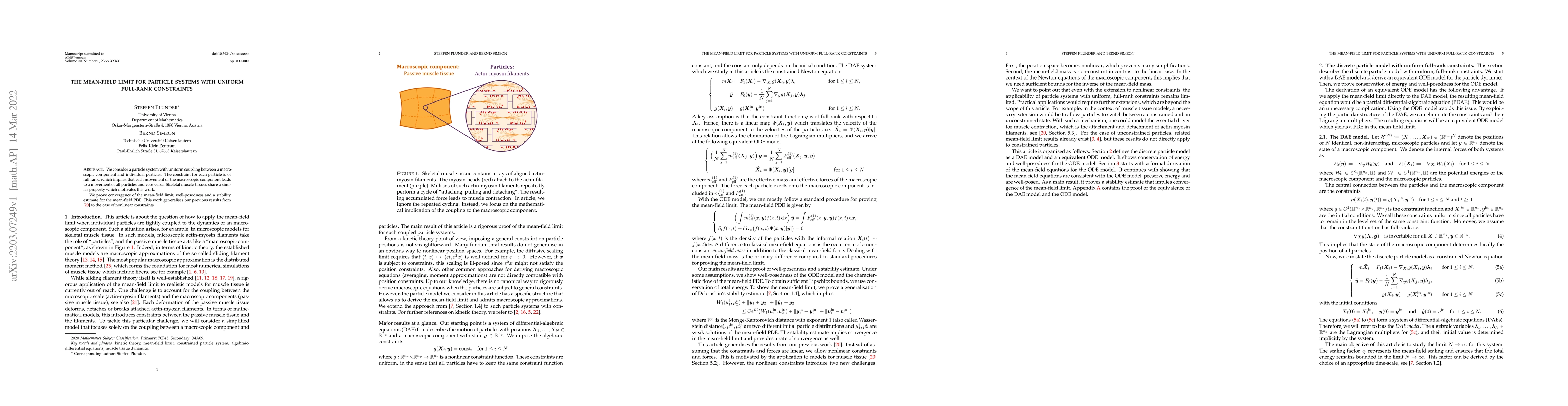 Thumbnail for The mean-field limit for particle systems with uniform full-rank
  constraints