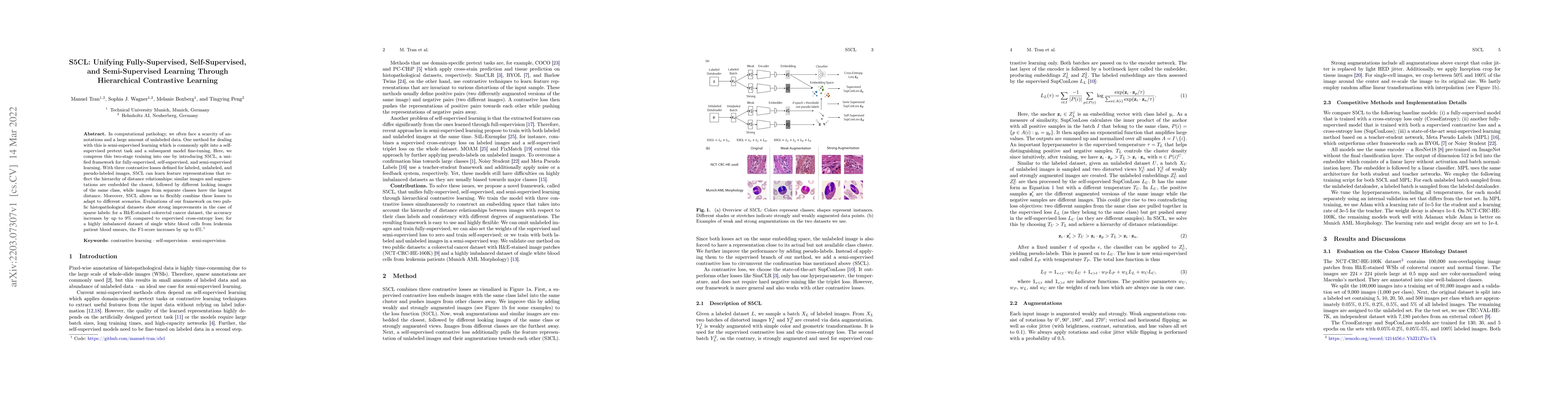 Thumbnail for S5CL: Unifying Fully-Supervised, Self-Supervised, and Semi-Supervised
  Learning Through Hierarchical Contrastive Learning