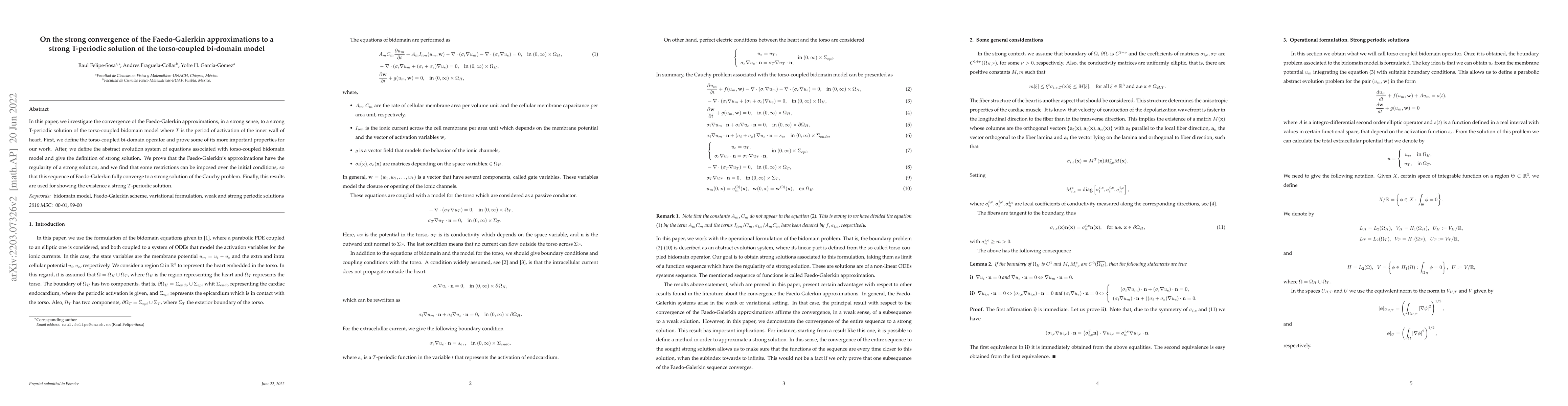 Thumbnail for On the strong convergence of the Faedo-Galerkin approximations to a
  strong T-periodic solution of the torso-coupled bi-domain model