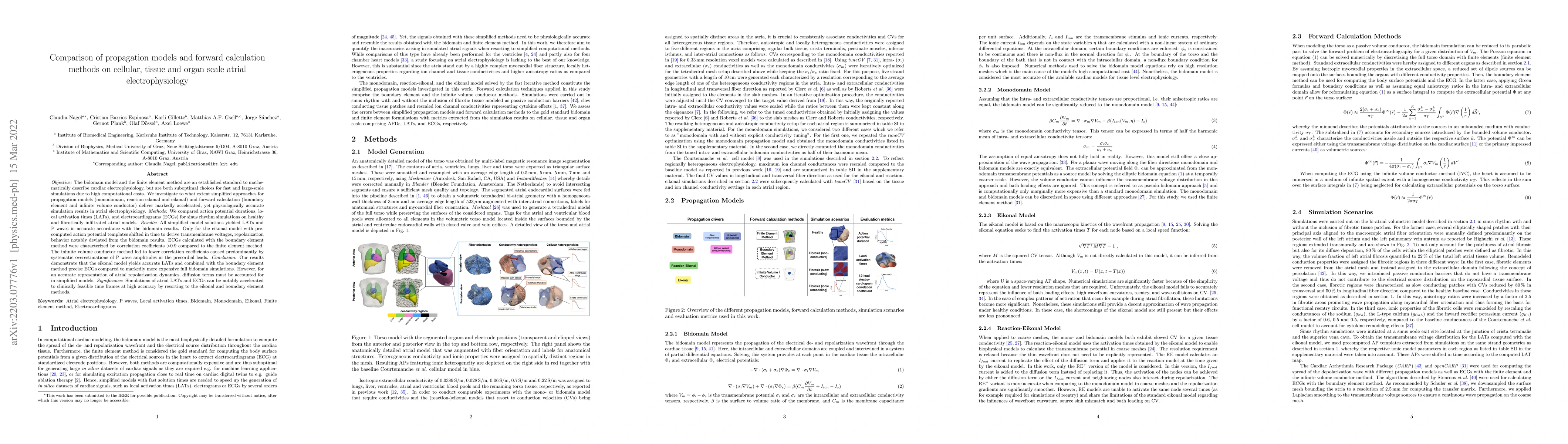 Thumbnail for Comparison of propagation models and forward calculation methods on
  cellular, tissue and organ scale atrial electrophysiology
