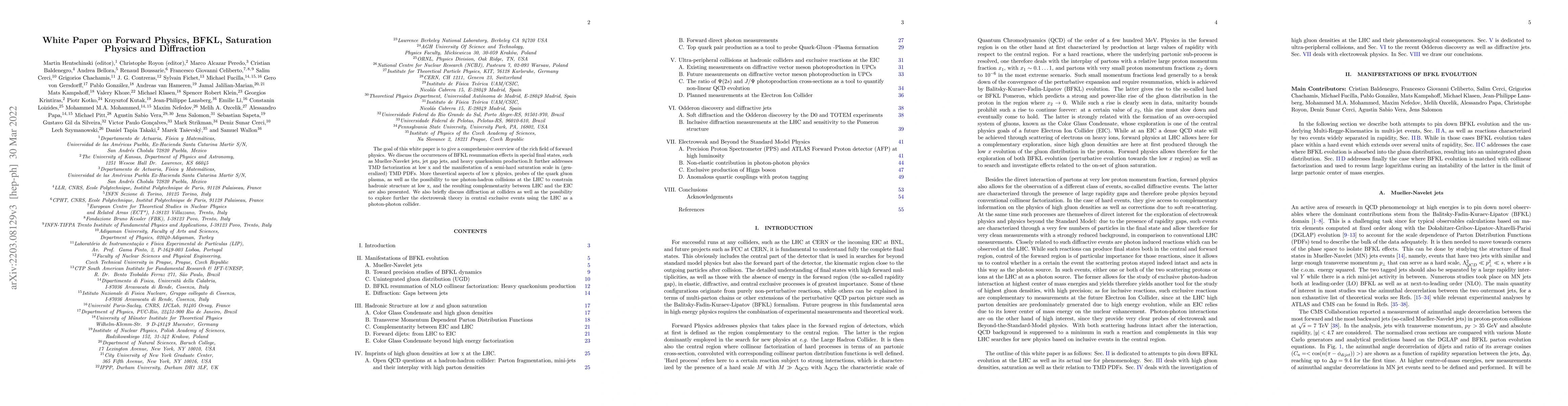 Thumbnail for White Paper on Forward Physics, BFKL, Saturation Physics and Diffraction