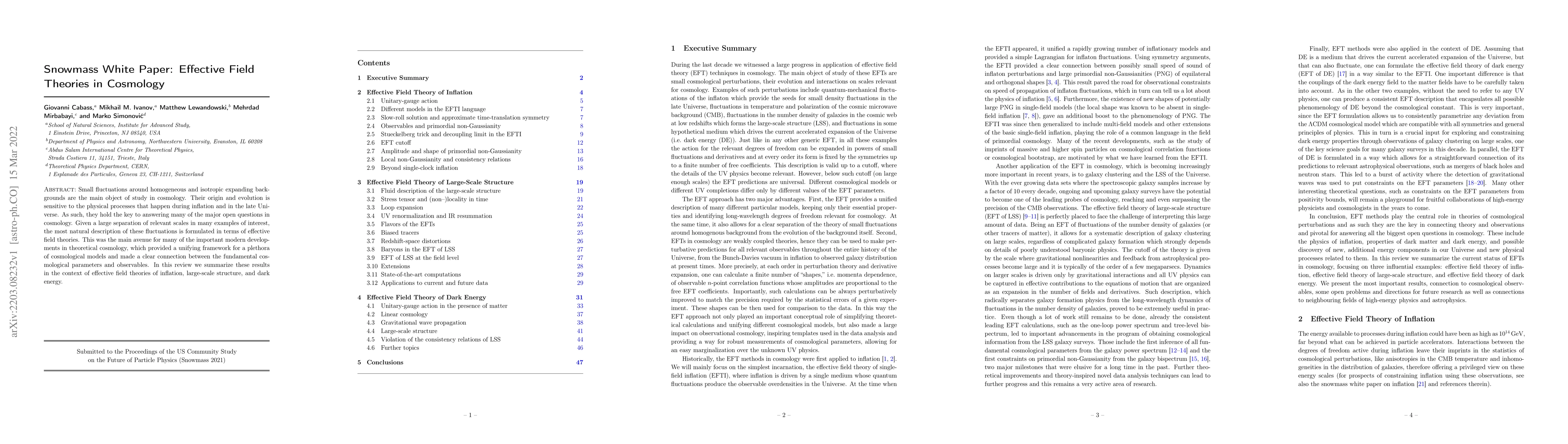Thumbnail for Snowmass White Paper: Effective Field Theories in Cosmology