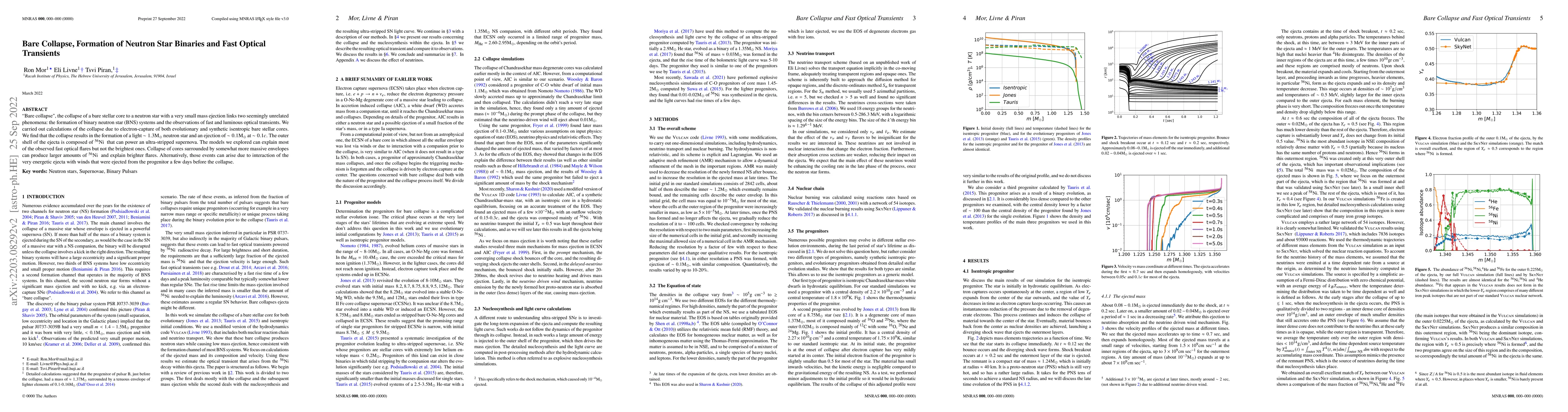 Thumbnail for Bare Collapse, Formation of Neutron Star Binaries and Fast Optical
  Transients