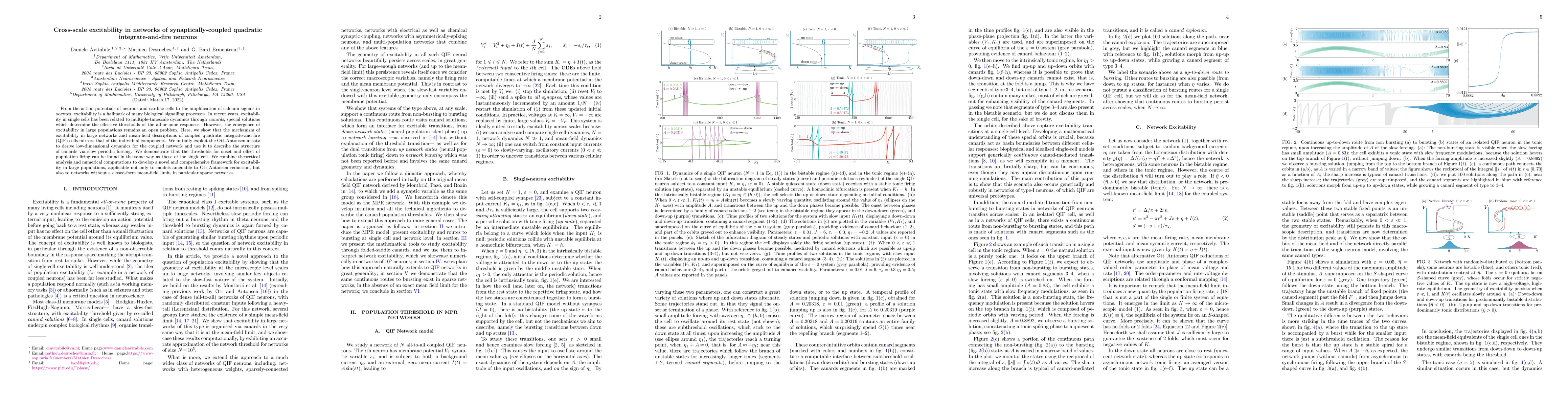 Thumbnail for Cross-scale excitability in networks of synaptically-coupled quadratic
  integrate-and-fire neurons