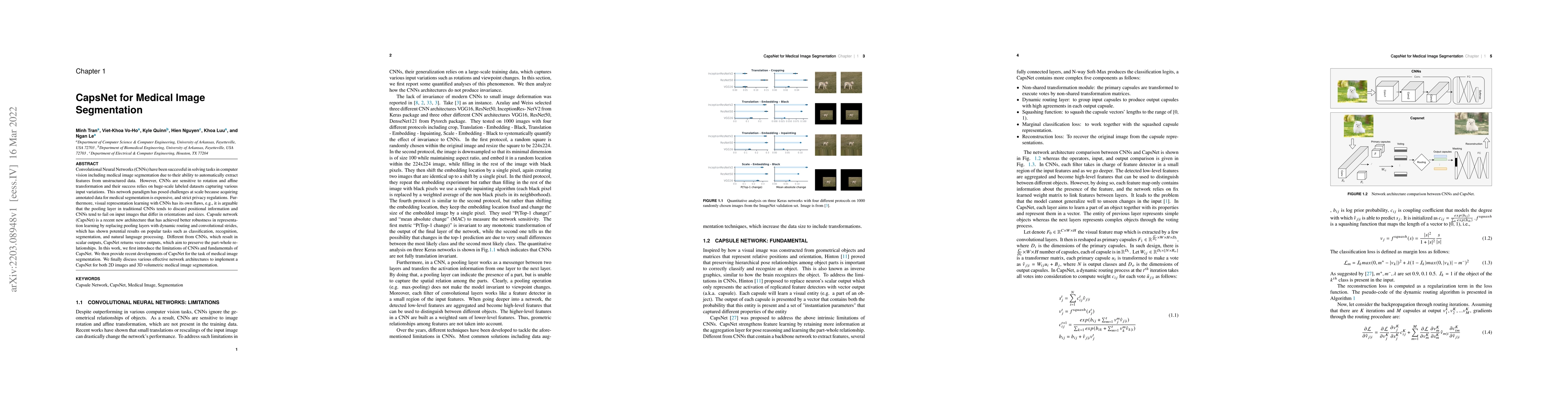 Thumbnail for CapsNet for Medical Image Segmentation