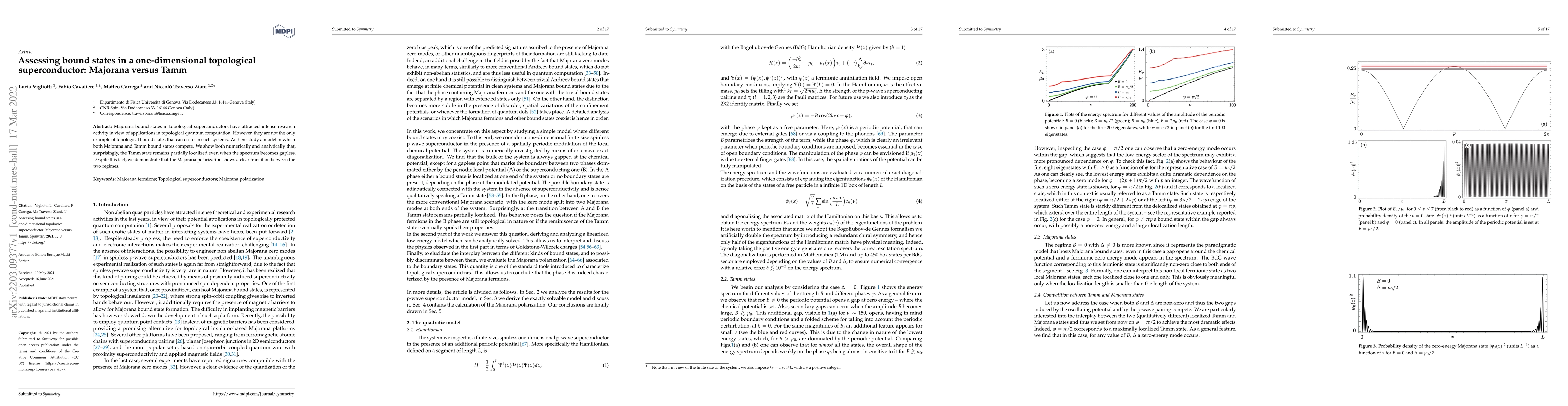 Thumbnail for Assessing bound states in a one-dimensional topological superconductor:
  Majorana versus Tamm