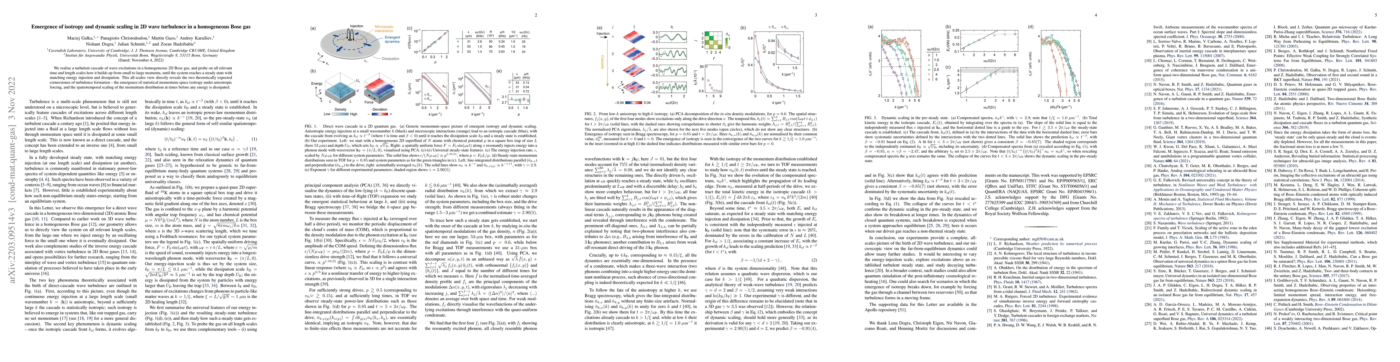 Thumbnail for Emergence of isotropy and dynamic scaling in 2D wave turbulence in a
  homogeneous Bose gas