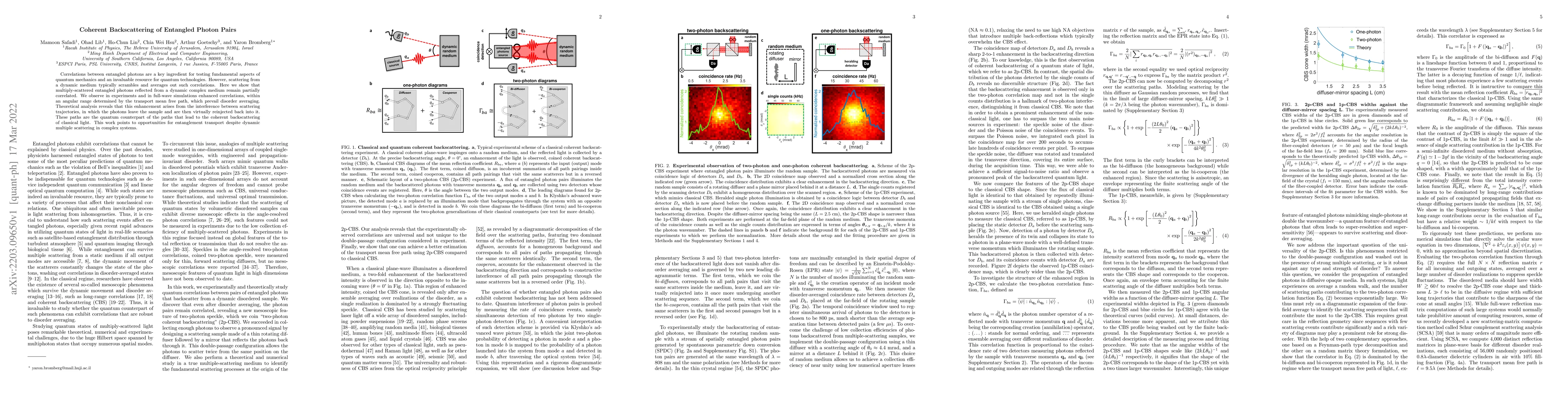 Thumbnail for Coherent Backscattering of Entangled Photon Pairs