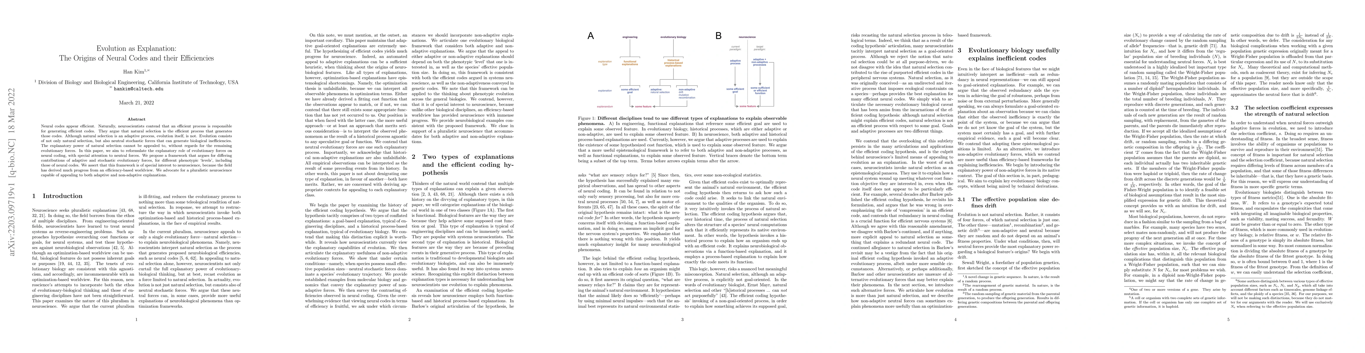 Thumbnail for Evolution as Explanation: The Origins of Neural Codes and their
  Efficiencies