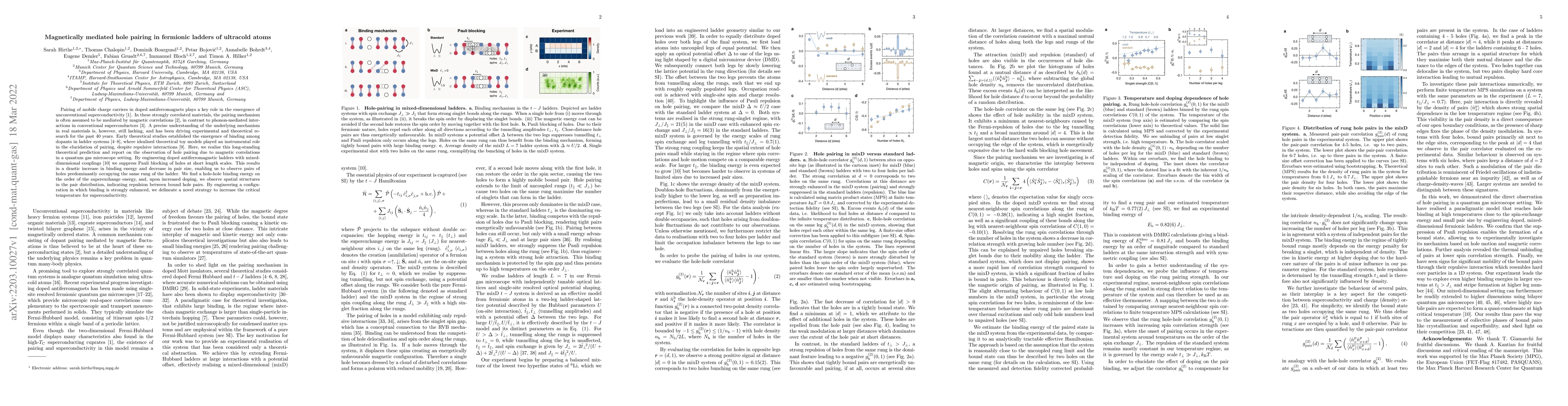 Thumbnail for Magnetically mediated hole pairing in fermionic ladders of ultracold
  atoms