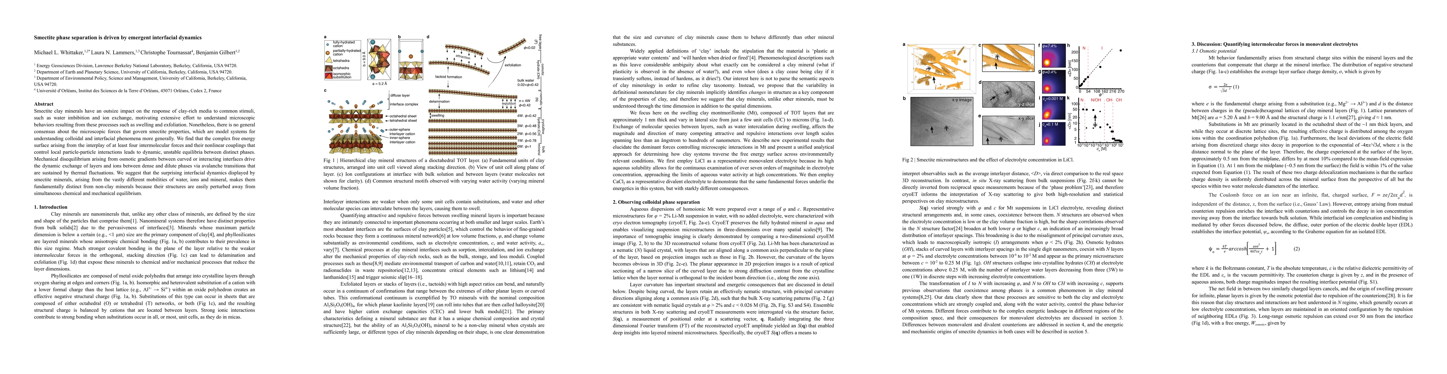 Thumbnail for Smectite phase separation is driven by emergent interfacial dynamics