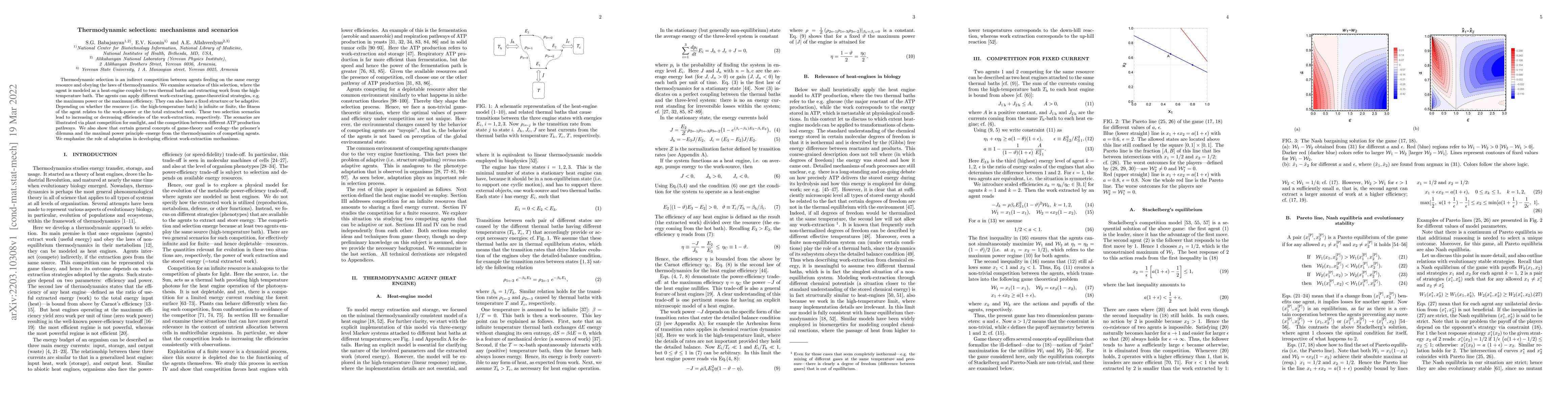 Thumbnail for Thermodynamic selection: mechanisms and scenarios