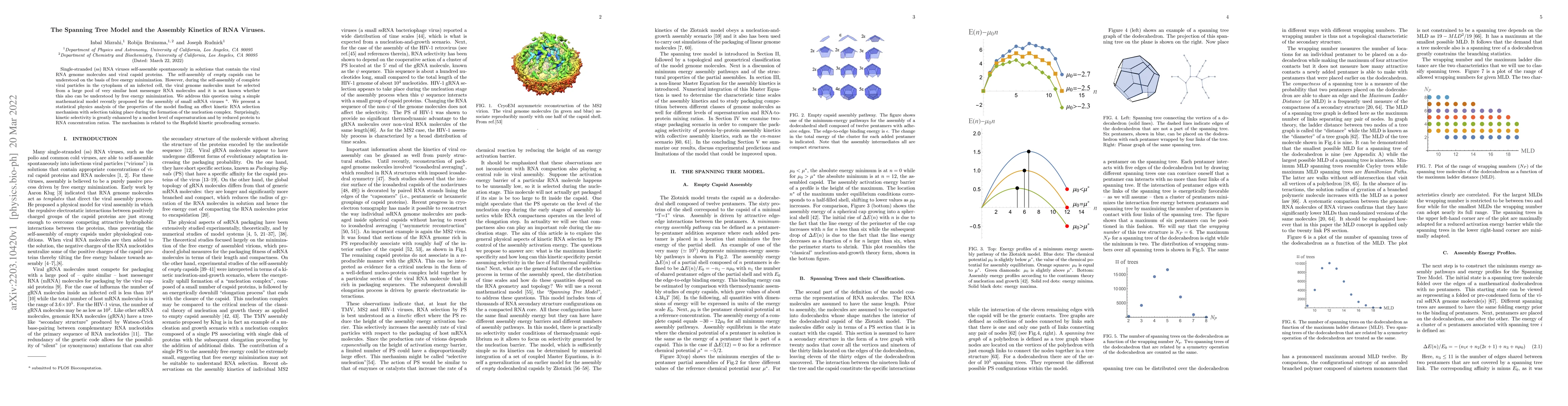 Thumbnail for The Spanning Tree Model and the Assembly Kinetics of RNA Viruses