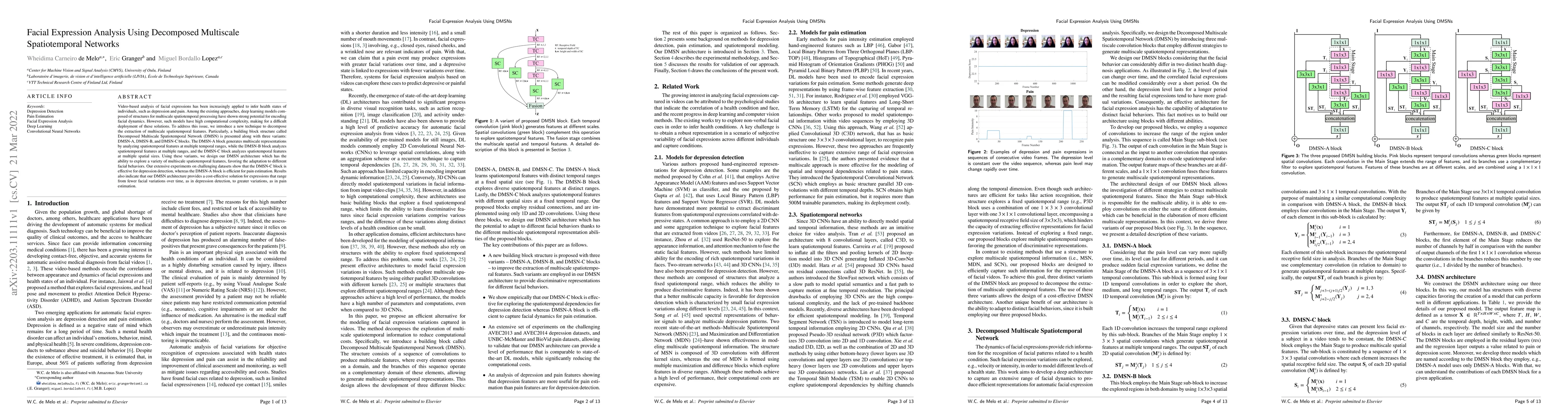 Thumbnail for Facial Expression Analysis Using Decomposed Multiscale Spatiotemporal
  Networks