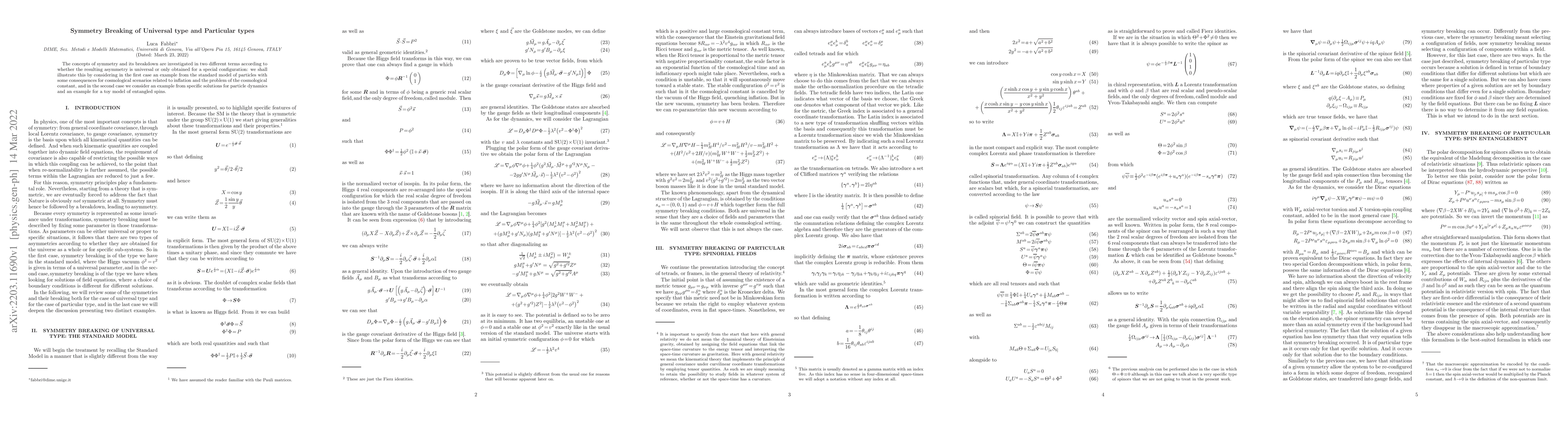 Thumbnail for Symmetry Breaking of Universal type and Particular types