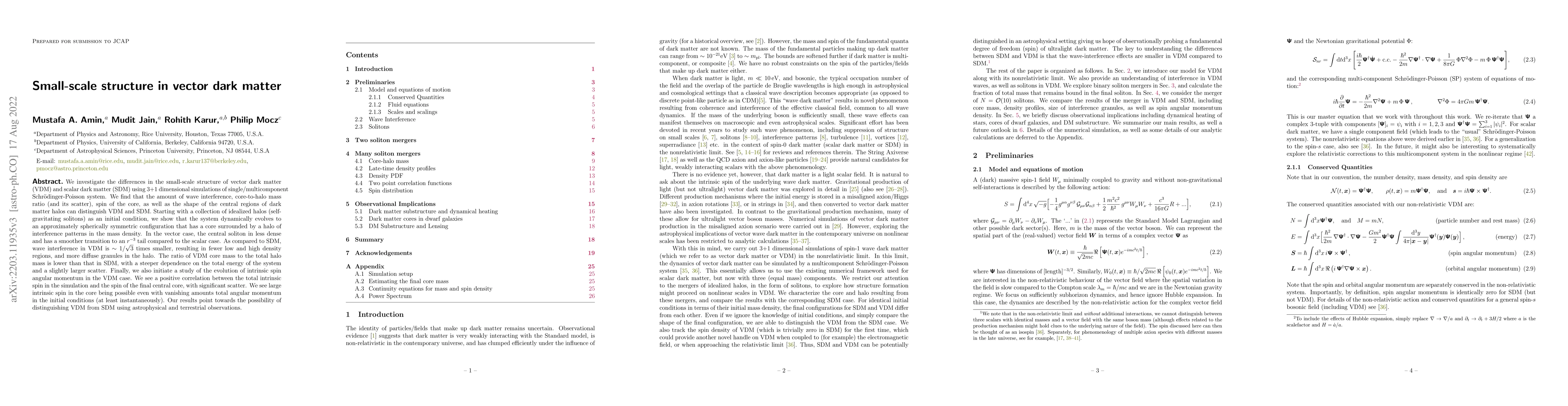 Thumbnail for Small-scale structure in vector dark matter