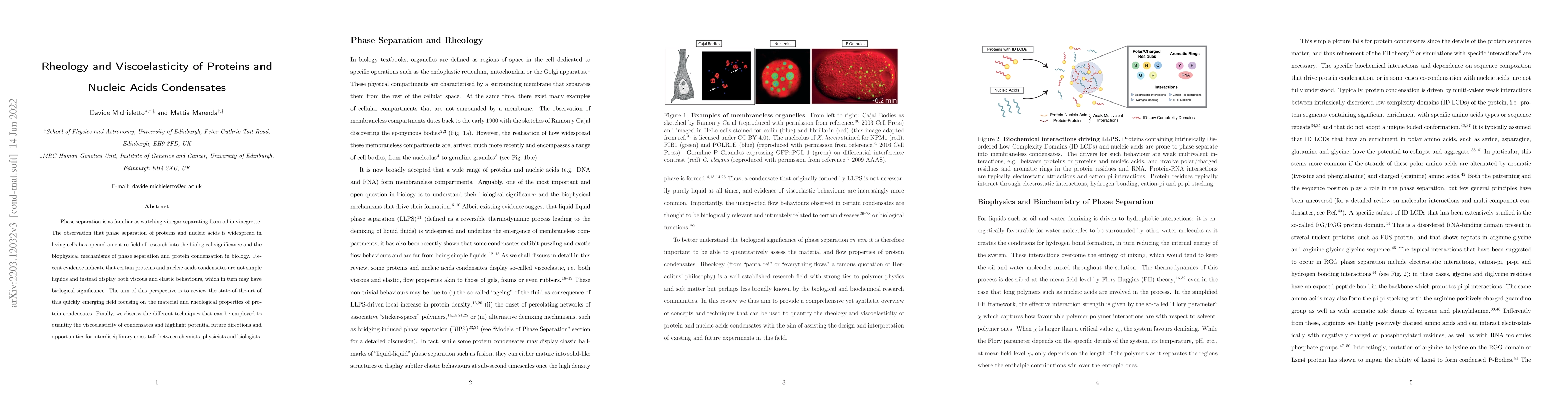 Thumbnail for Rheology and Viscoelasticity of Proteins and Nucleic Acids Condensates