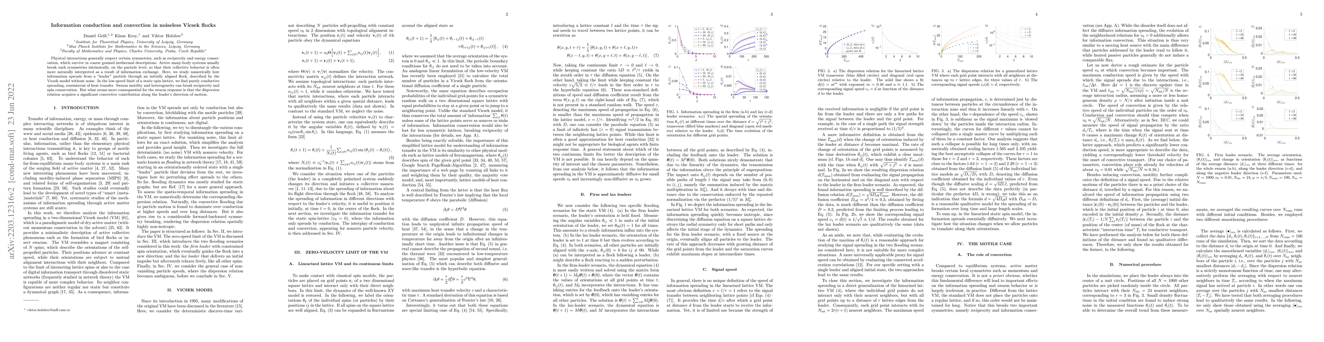 Thumbnail for Information conduction and convection in noiseless Vicsek flocks