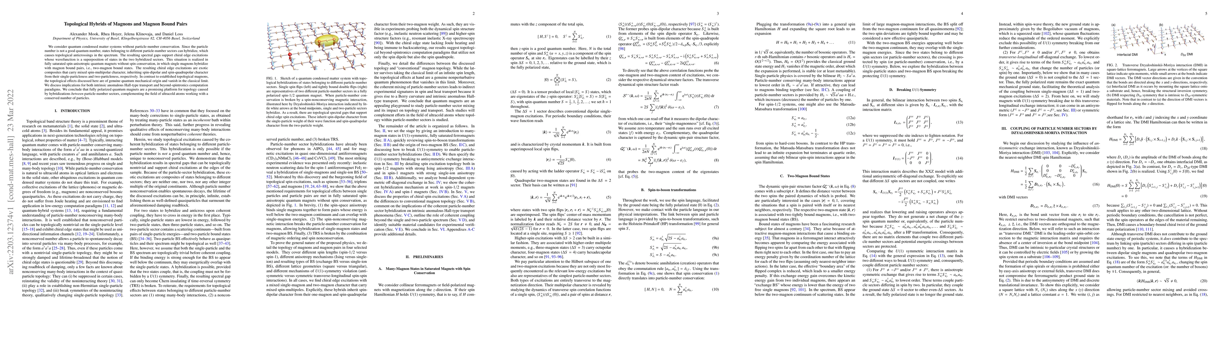Thumbnail for Topological Hybrids of Magnons and Magnon Bound Pairs