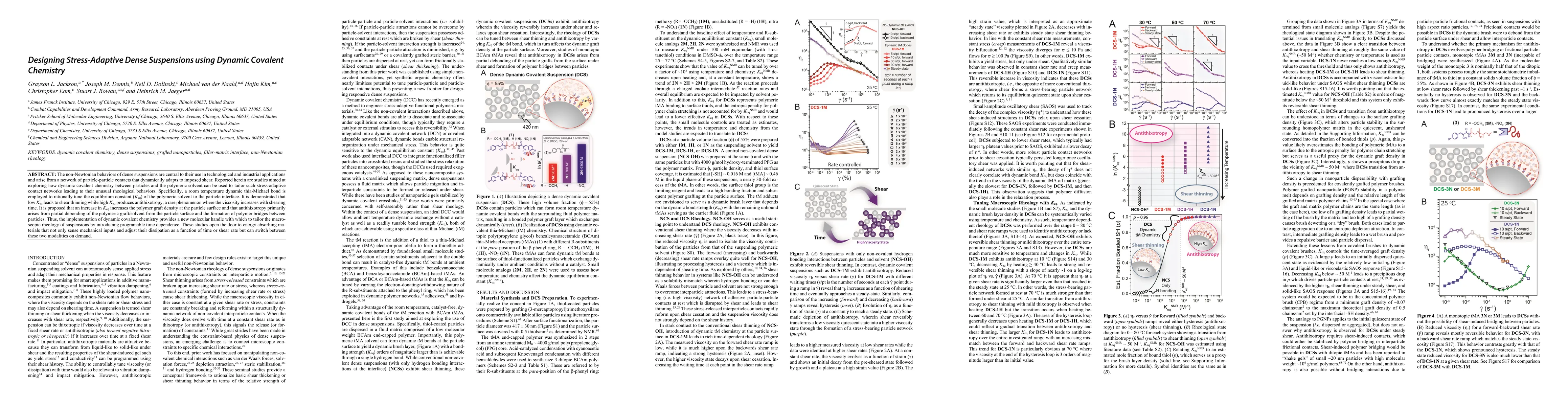 Thumbnail for Designing Stress-Adaptive Dense Suspensions using Dynamic Covalent
  Chemistry