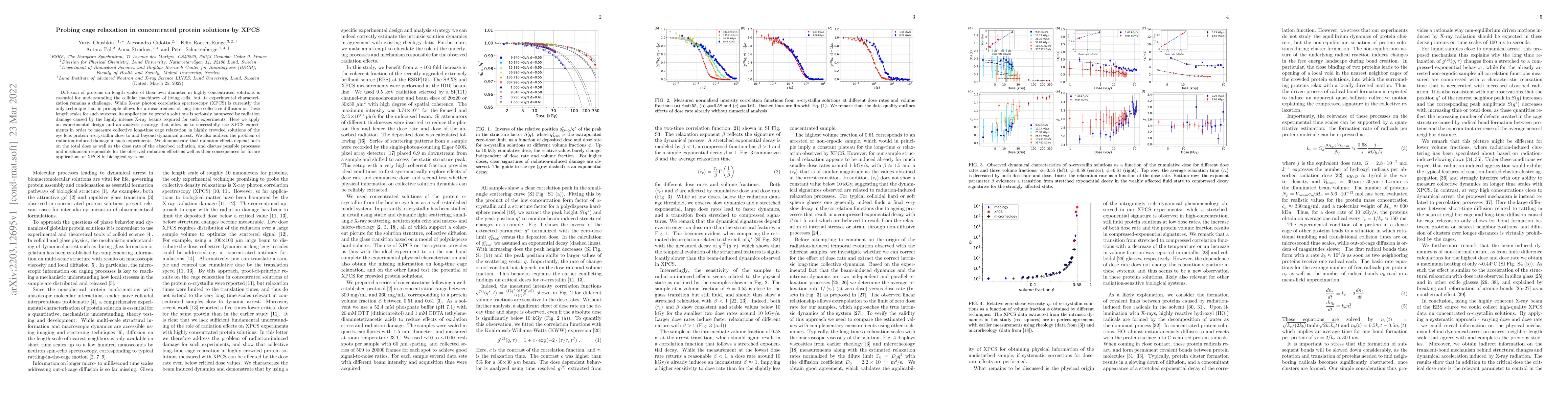 Thumbnail for Probing cage relaxation in concentrated protein solutions by XPCS
