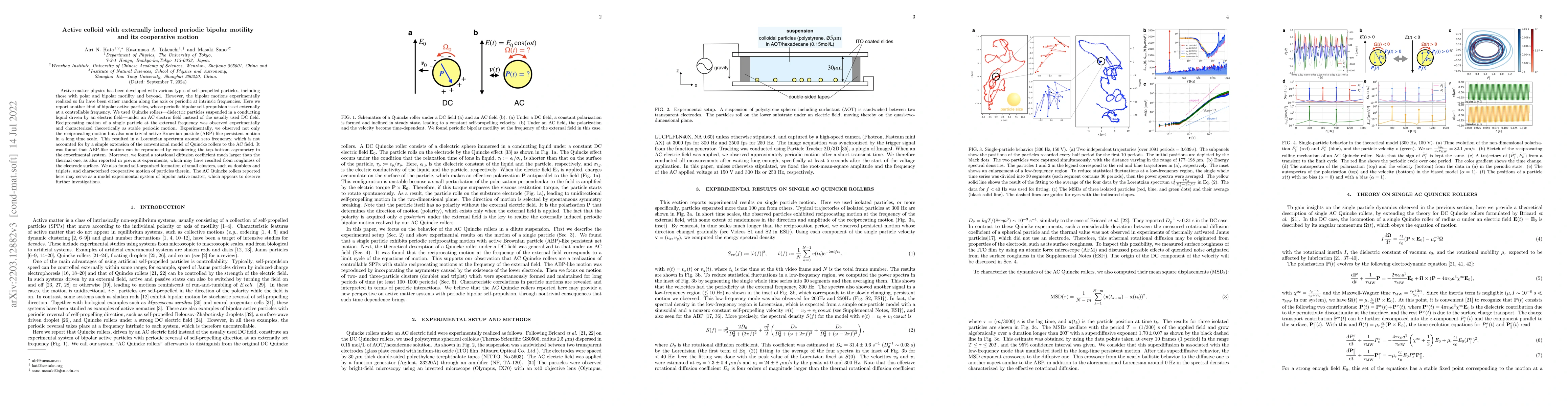 Thumbnail for Active colloid with externally induced periodic bipolar motility and its
  cooperative motion